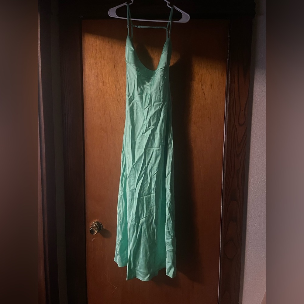 NWT Viral Zara Dress